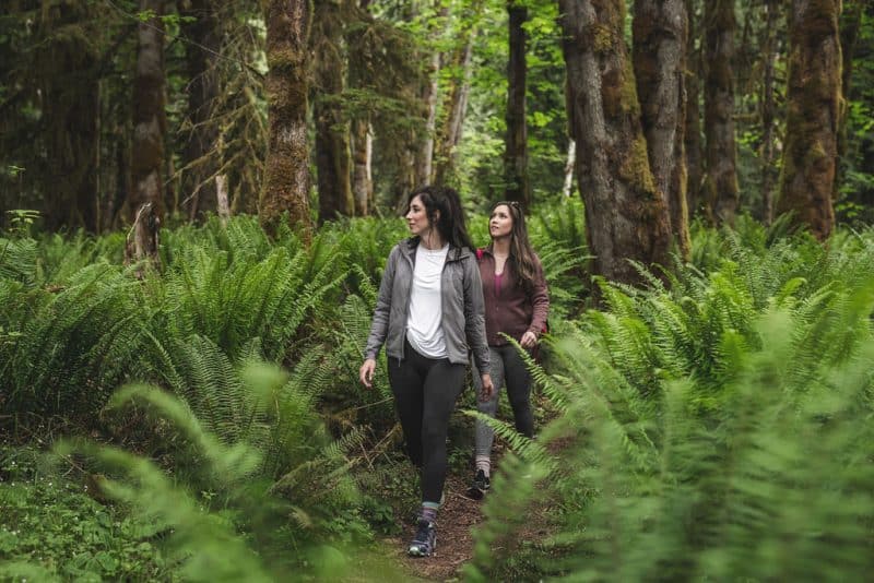 Woman hiking among forest ferns