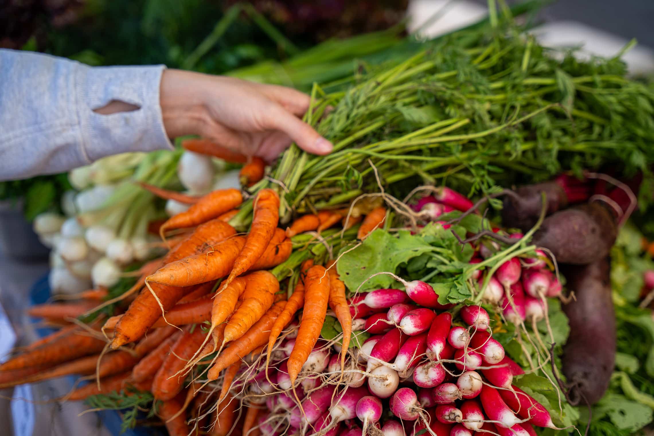 Fresh Farmers Market Vegetables