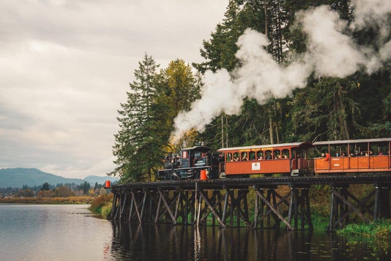 Forest Discovery Centre Train